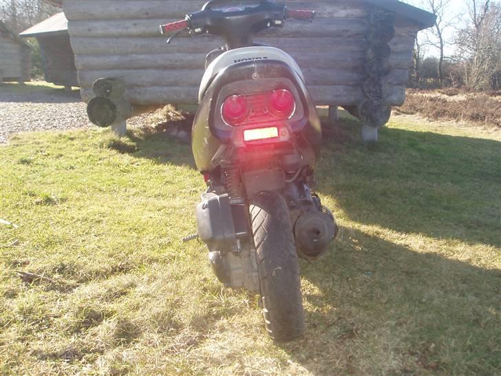 Honda SFX *før* - Bagfra ;D billede 5