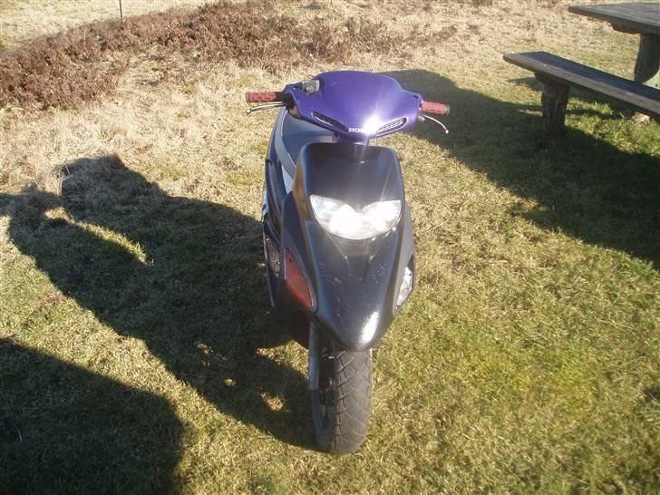 Honda SFX *før* - Forfra :P  billede 6