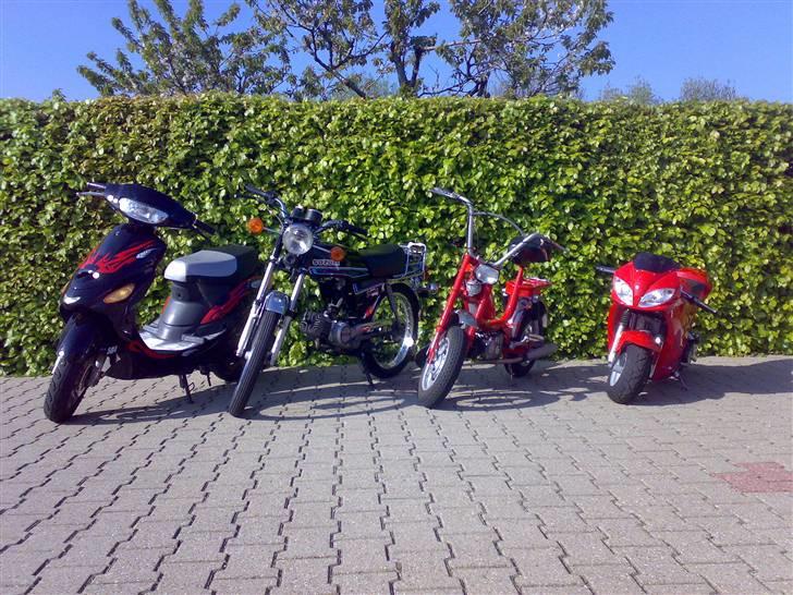 Suzuki DM50 Samurai billede 5