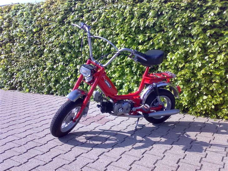 Garelli Katia billede 1