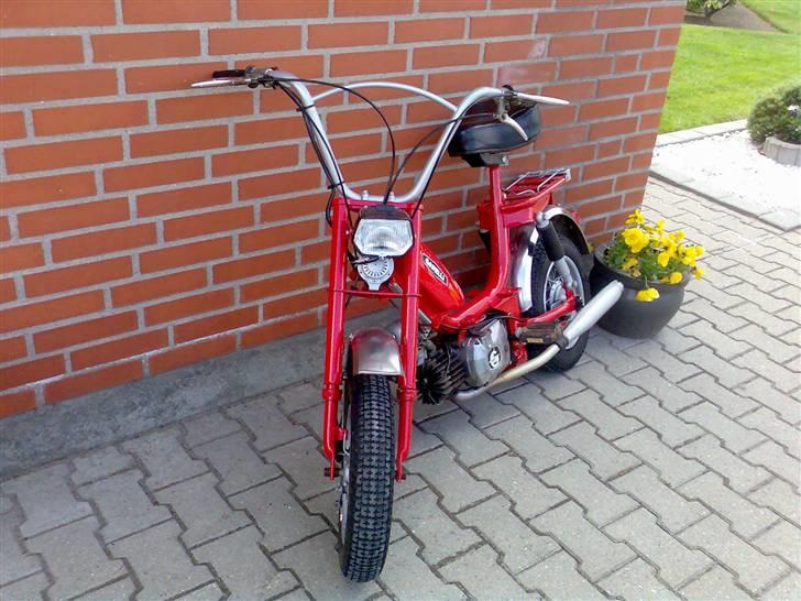 Garelli Katia billede 4