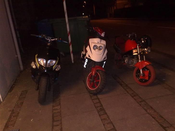 PGO Dr. Big -Solgt- - Min Big, Strandby´s Hot og Ib´s PBR billede 11