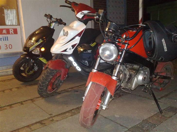 PGO Dr. Big -Solgt- - Min Big, Strandby´s Hot og Ib´s PBR billede 12