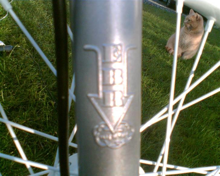 Puch maxi k 70ccm byttet - min kat charlie i baggrunden billede 15