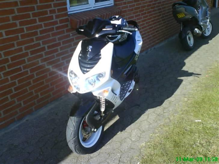 Peugeot Speedfight 2 R-Cup billede 4