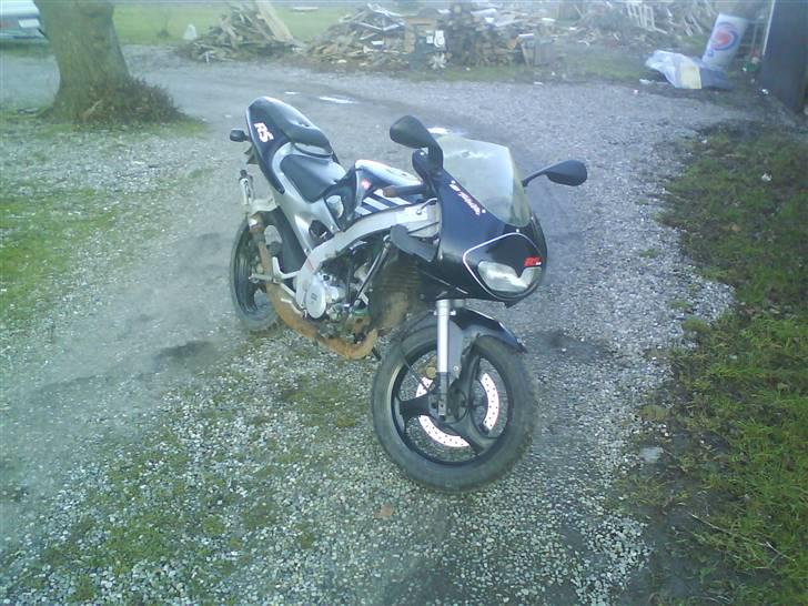 Aprilia RS50 billede 2