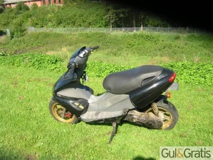 Benelli 491 billede 1