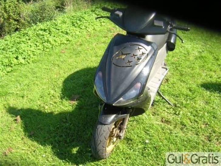 Benelli 491 billede 2