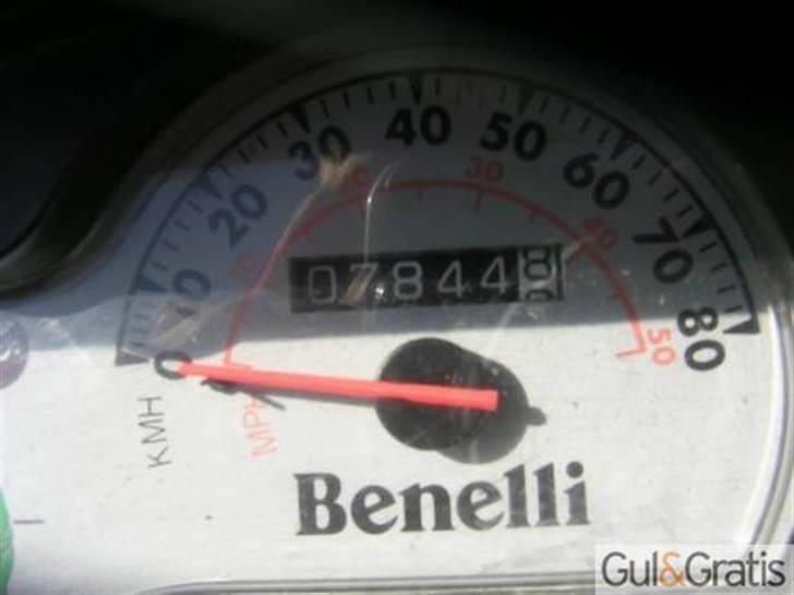 Benelli 491 billede 5