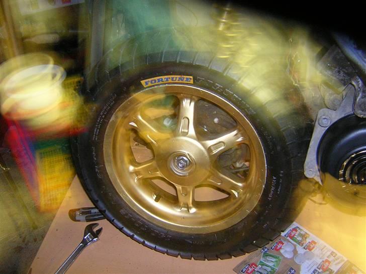 Benelli 491 billede 6