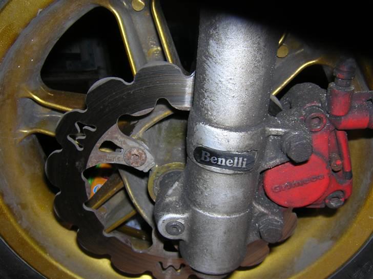 Benelli 491 billede 8