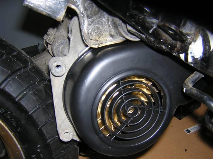 Benelli 491 billede 9