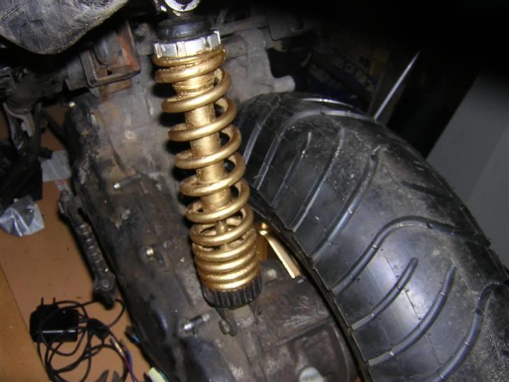 Benelli 491 billede 10