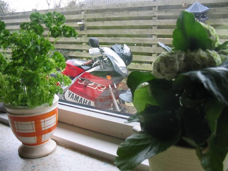 Yamaha Tzr 50 Solgt Til AM6 billede 14