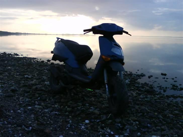 Aprilia Rally Byttet til Shineray billede 1