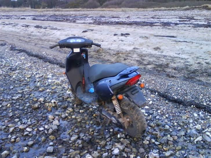 Aprilia Rally Byttet til Shineray billede 5