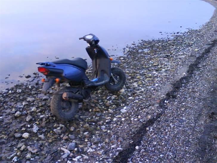 Aprilia Rally Byttet til Shineray billede 6