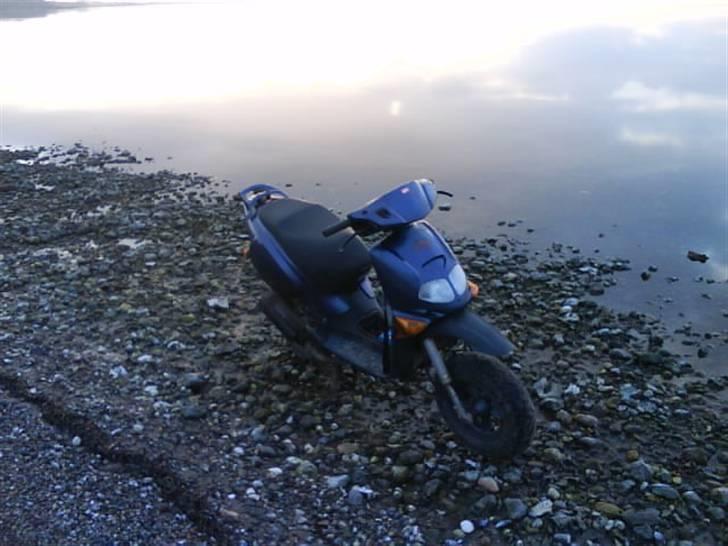 Aprilia Rally Byttet til Shineray billede 7