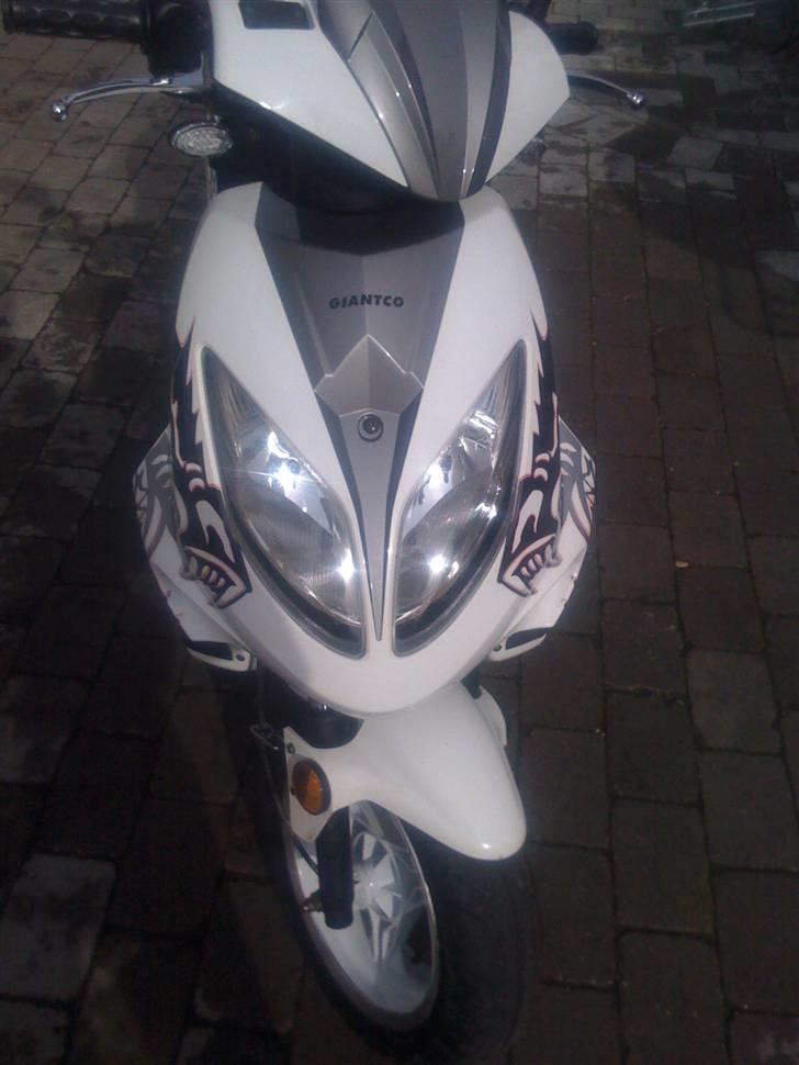 Giantco spartan Til salg billede 10