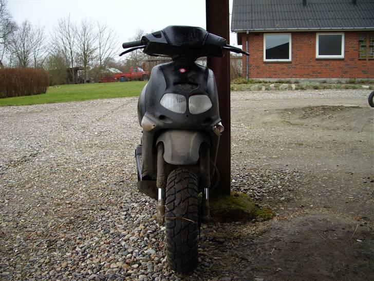 Aprilia Rally billede 2