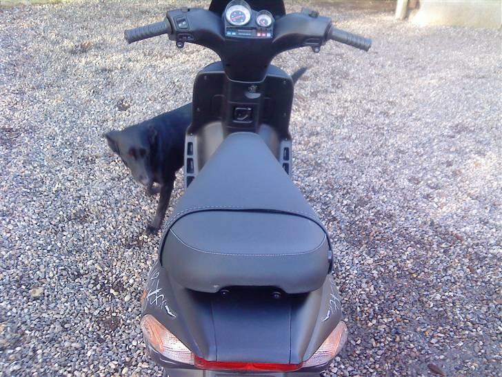 Gilera Stalker / Byttet rally billede 11
