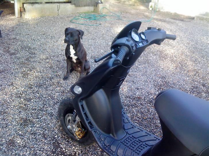 Gilera Stalker / Byttet rally billede 12