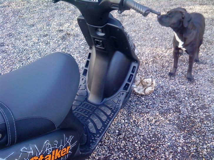 Gilera Stalker / Byttet rally billede 13