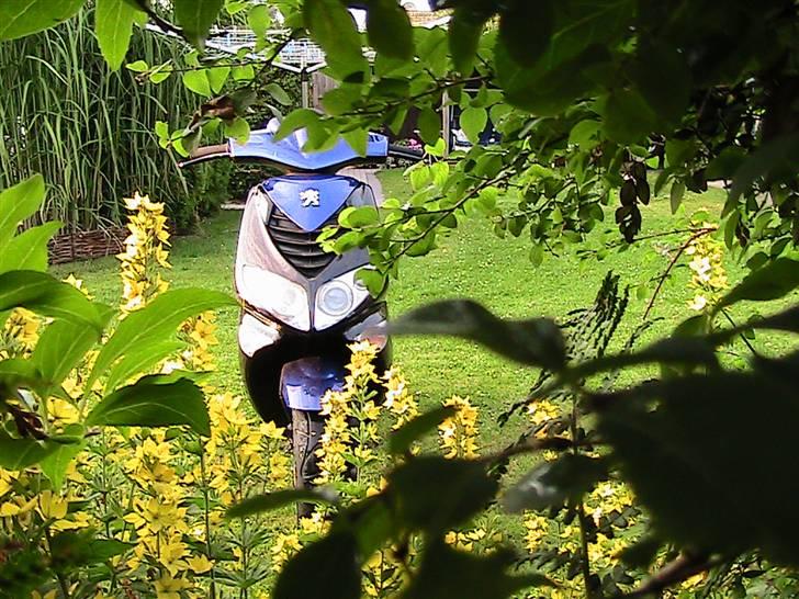 Peugeot Speedfight 2 - IM WATCHING YOU! billede 1