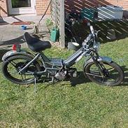 Puch Maxi Grey Devil