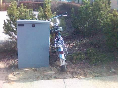 Puch maxi k (solgt) billede 4