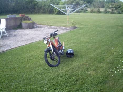 Puch maxi p1 (solgt) billede 2