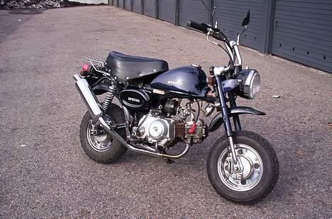 Jincheng Monkey billede 3