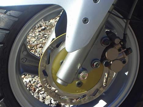 PGO g-max TIL SALG billede 10