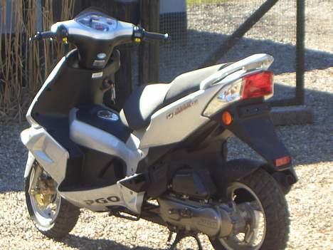 PGO g-max TIL SALG billede 7