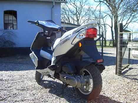 PGO g-max TIL SALG billede 3