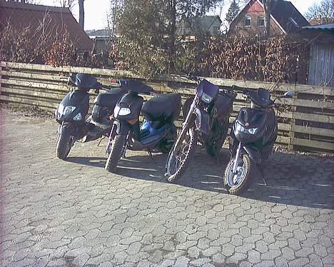 PGO projekt dr big solgt billede 8