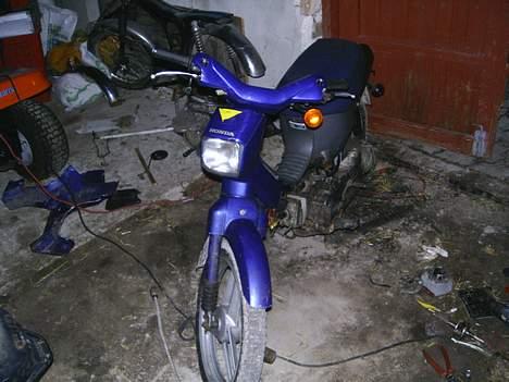 Honda wallaroo   foræret væk.;) billede 1