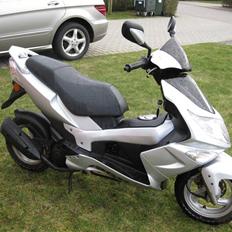 PGO                     G-max