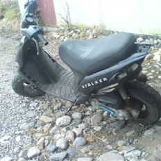 Gilera stalker  byttet