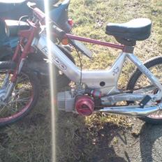 Puch maxi xxXgertrudXxx SOLGT