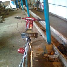 Puch maxi xxXgertrudXxx SOLGT