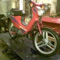 Honda Wallaroo solgt