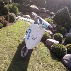 Yamaha jog as SOLGT