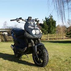 PGO Pmx naked Carbon -|Arne|-