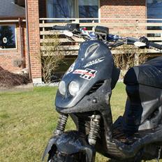 PGO Pmx naked Carbon -|Arne|-