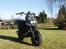 PGO Pmx naked Carbon -|Arne|-