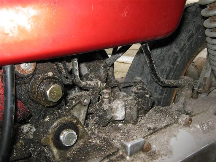 Suzuki Fz50          billede 11