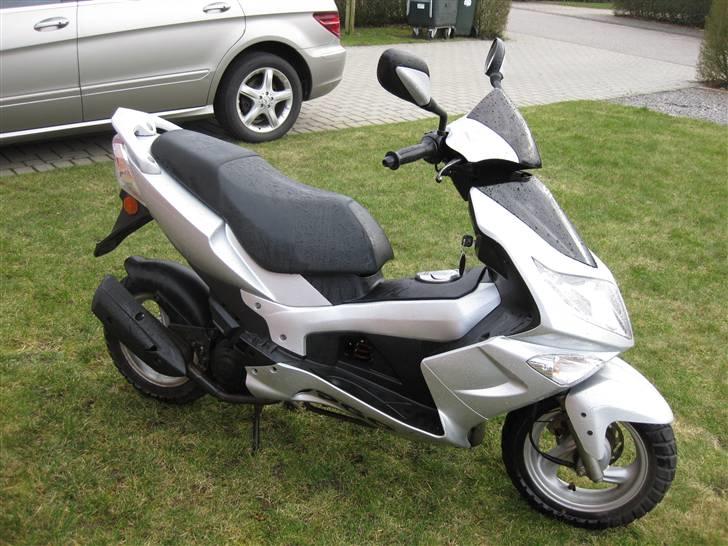 PGO                     G-max billede 2