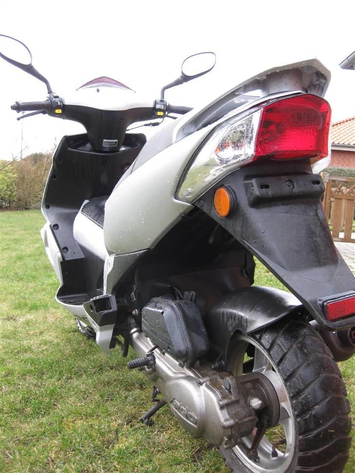 PGO                     G-max billede 4