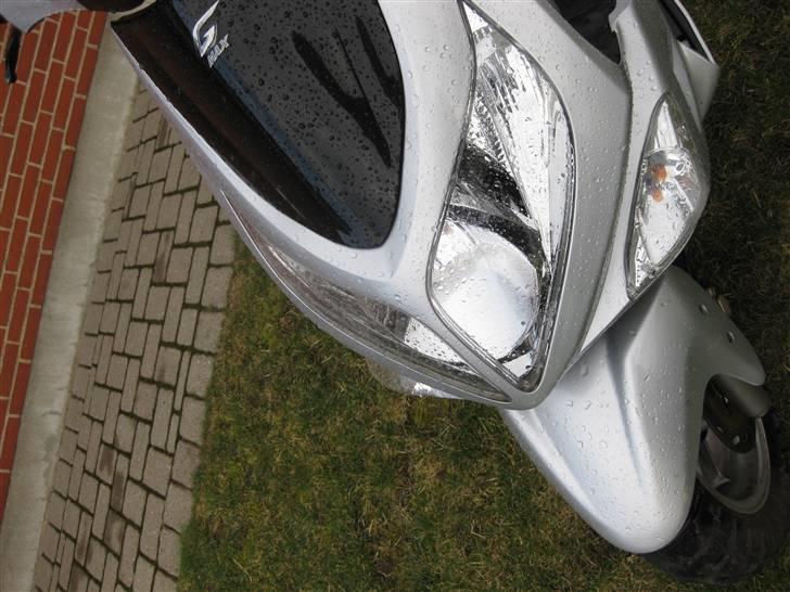 PGO                     G-max billede 7